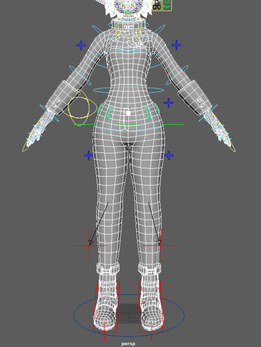 Body Topology / Rig Body Topology / Rig